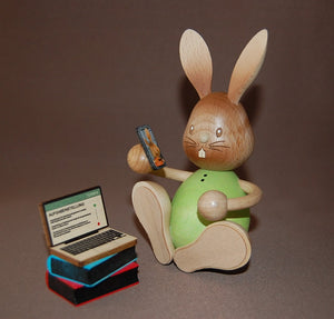 Hase Stupsi Homeschooling mit Laptop
