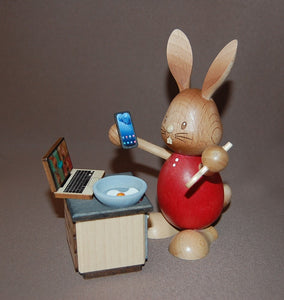 Hase Stupsi im Homeoffice